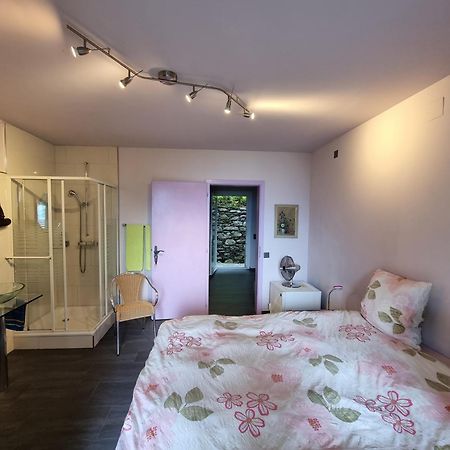 Residence Venus Garden Brissago Room photo