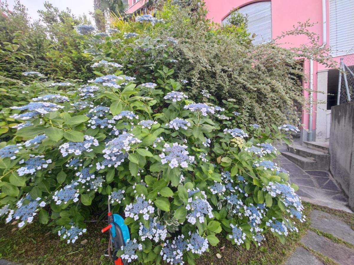 Residence Venus Garden Brissago Exterior photo