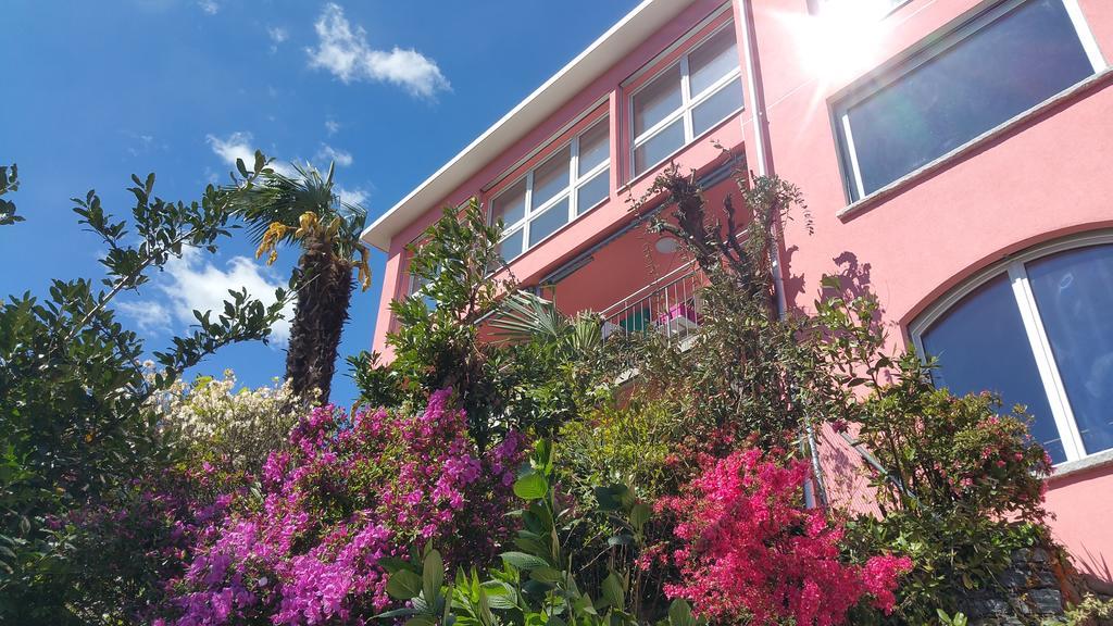 Residence Venus Garden Brissago Room photo