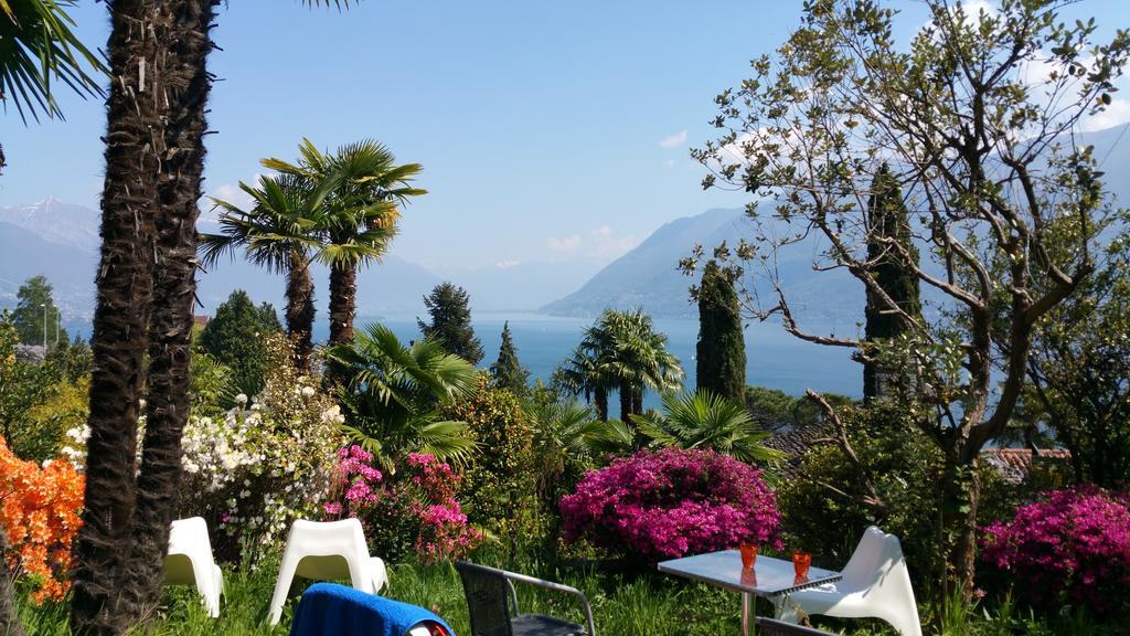 Residence Venus Garden Brissago Exterior photo