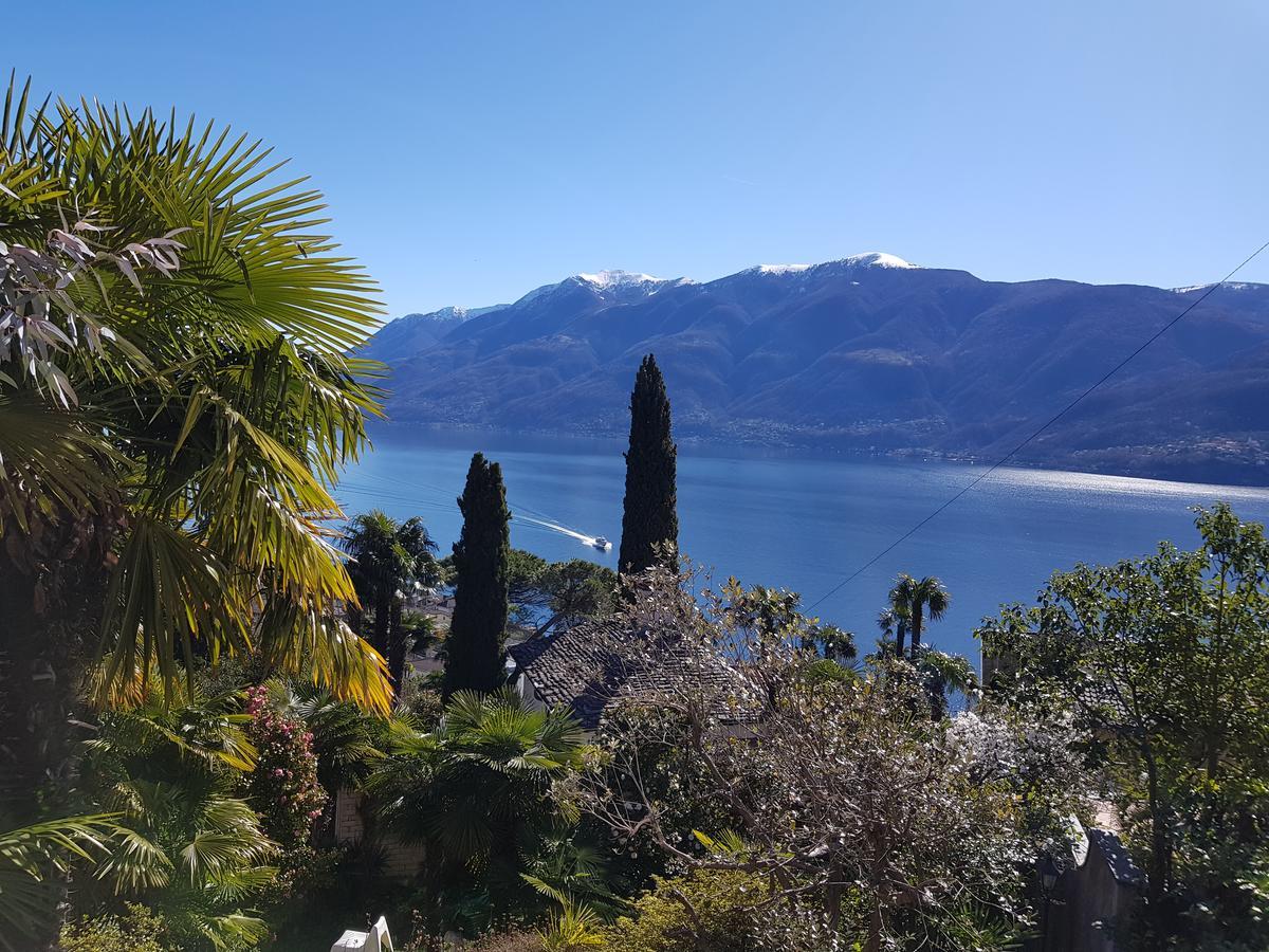 Residence Venus Garden Brissago Exterior photo