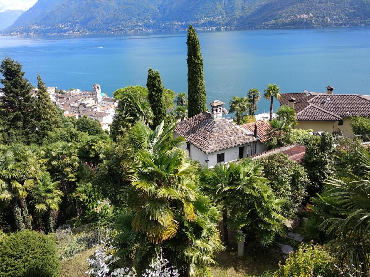 Residence Venus Garden Brissago Exterior photo